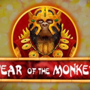 Year Of The Monkey